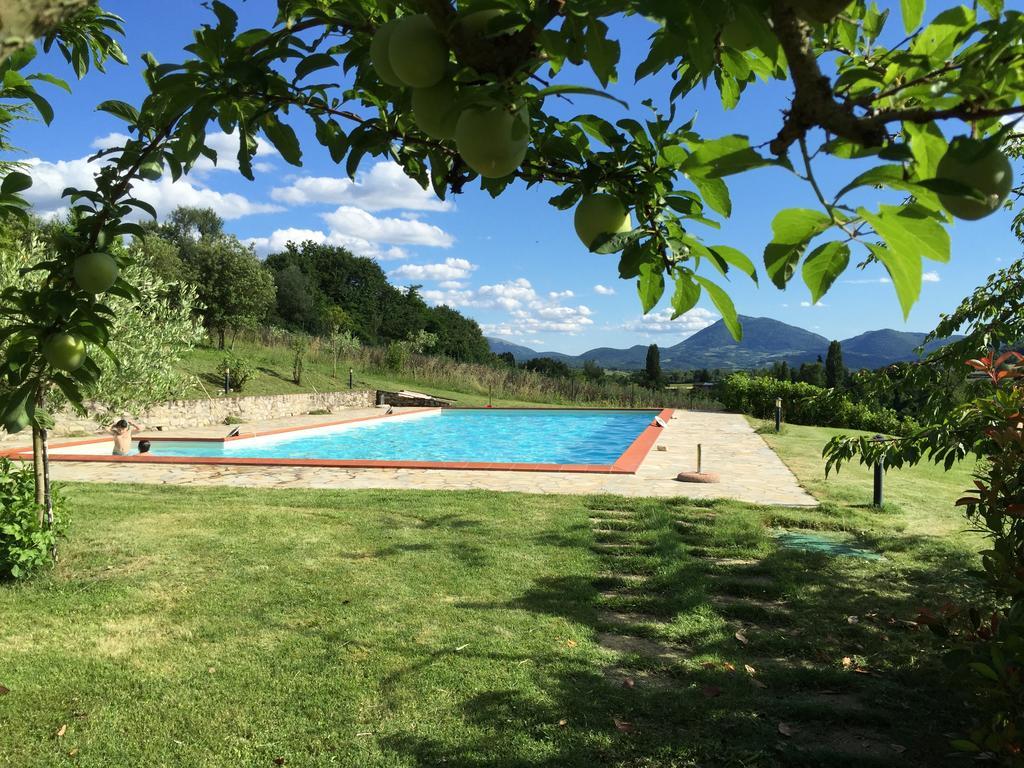Agricola Caicucci Villa Montone  Oda fotoğraf