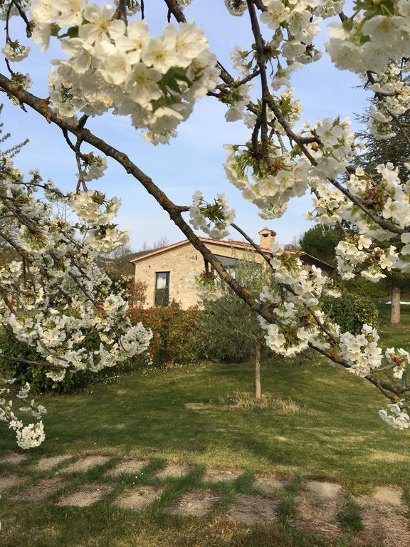 Agricola Caicucci Villa Montone  Dış mekan fotoğraf